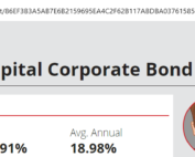 Use Your Own Domain for Your Fund Tearsheets